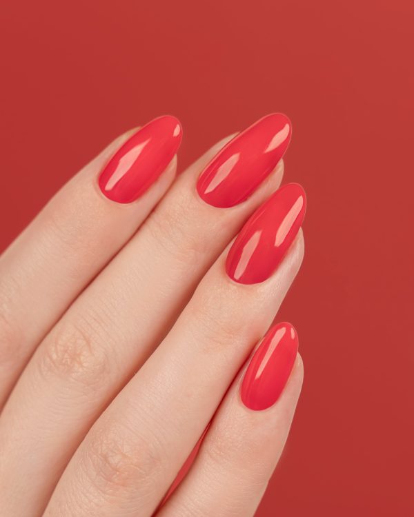 GEMINI  nº 326 Cherry Redline - Imagen 3